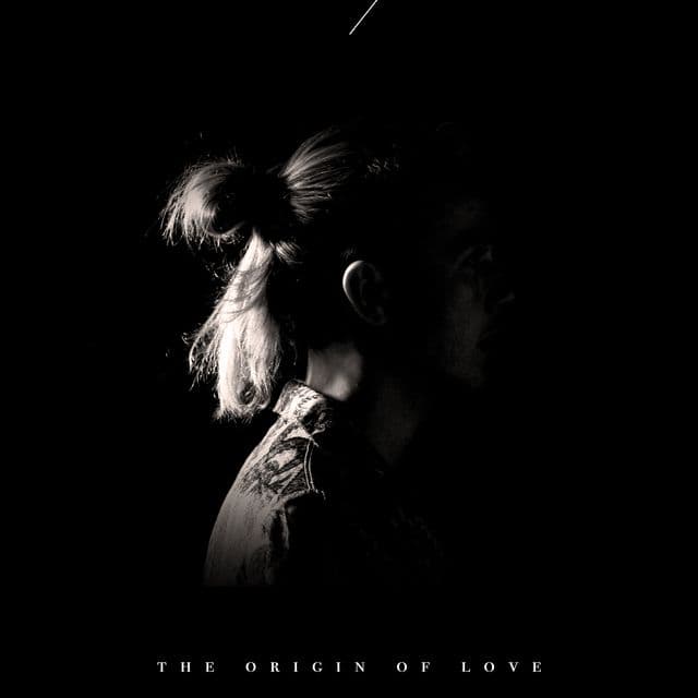 Cover art for The Origin Of Love